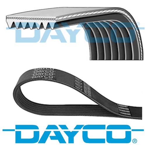 Dayco ribbed belt - dayco, ribs