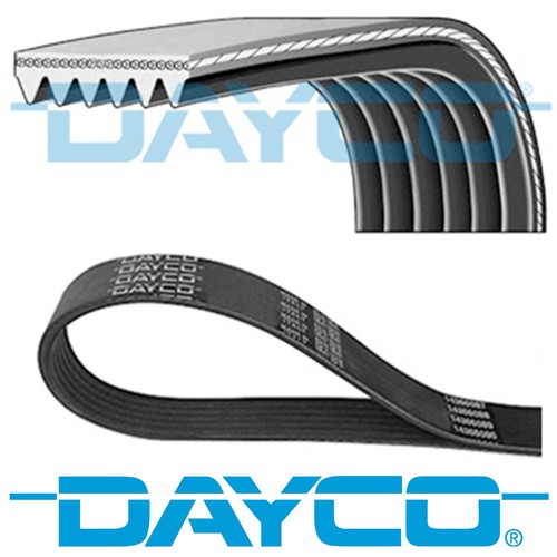 Dayco ribbed belt - dayco,