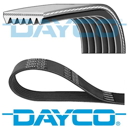 Dayco ribbed belt - dayco,