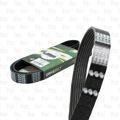 Alternator drive belt fan - /,