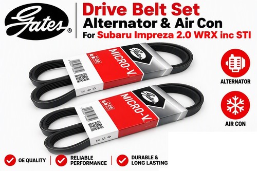 Gates drive belt - belt, set
