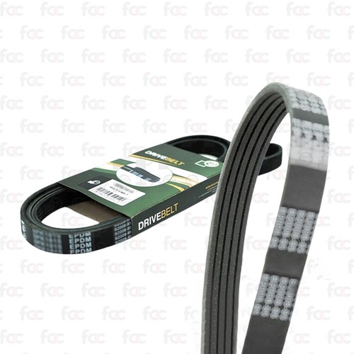 Alternator drive belt - belt, fan