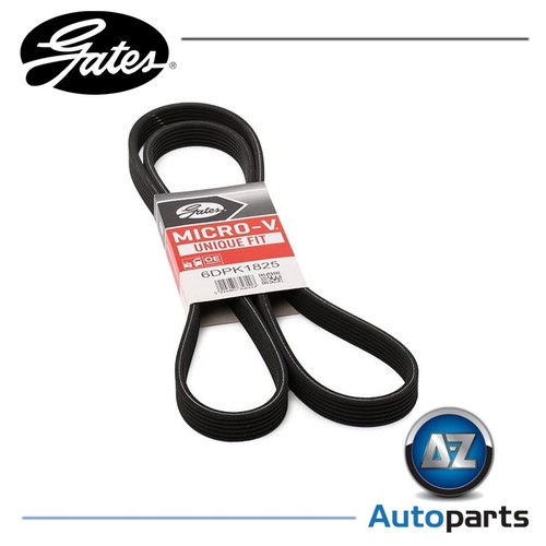 Rib ribbed belt 6dpk1825 - rib,