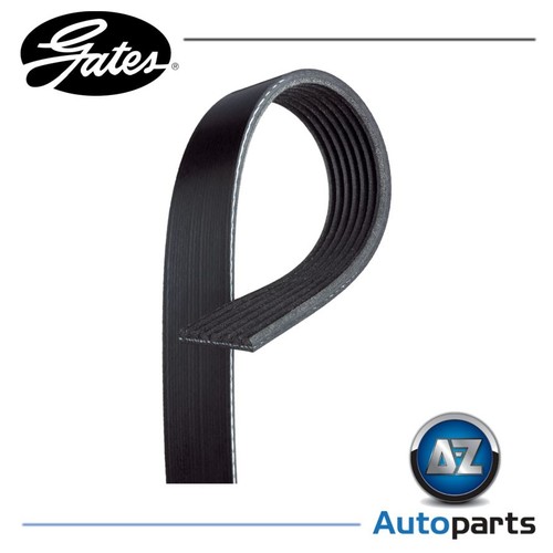 Rib ribbed belt 7pk1668 - 7,