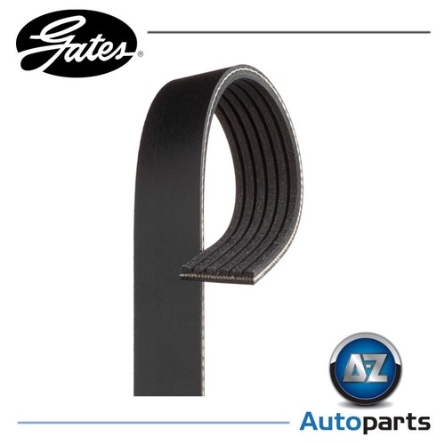 Rib ribbed belt 6pk905 - rib,