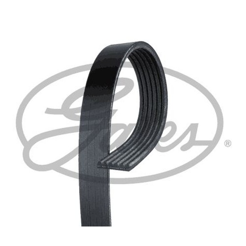 Gates micro ribbed - gates, micro-v