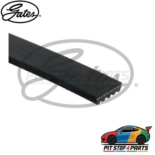 For honda jazz - v-ribbed, belts