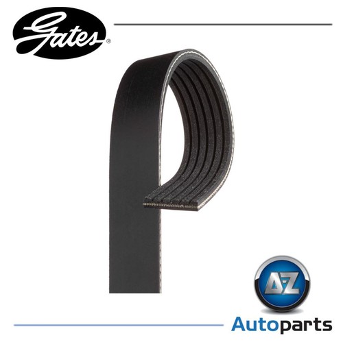 Rib ribbed belt 6pk1130 - rib,