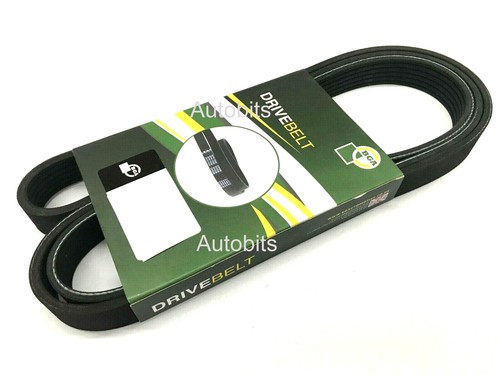 Bga multi ribbed drive belt - ribbed,