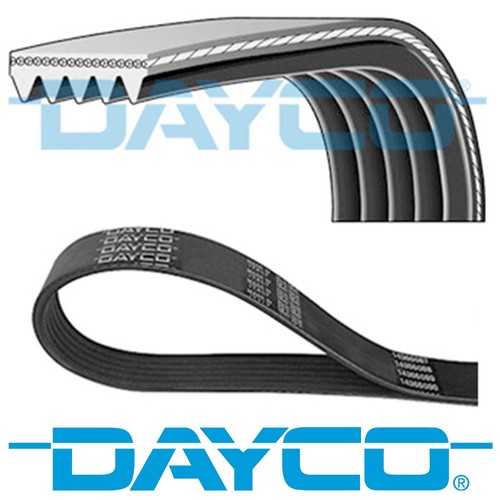 Dayco ribbed belt ribs - dayco,