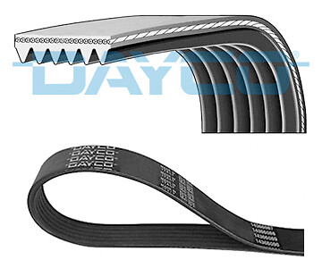Dayco ribbed belt - v-ribbed, ribs