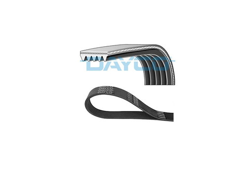 Dayco ribbed belt - dayco,