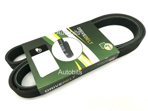 Bga multi ribbed - ribbed, belt