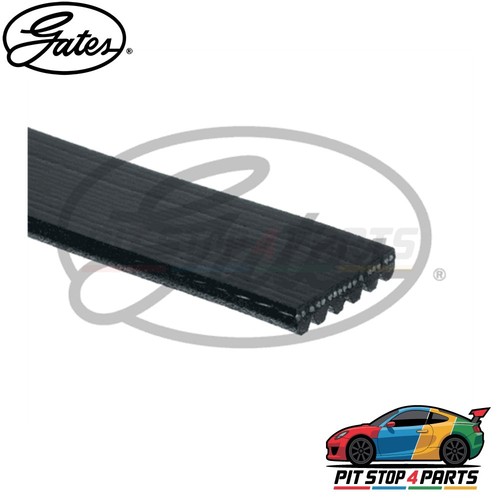 For crafter alternator belt - crafter,